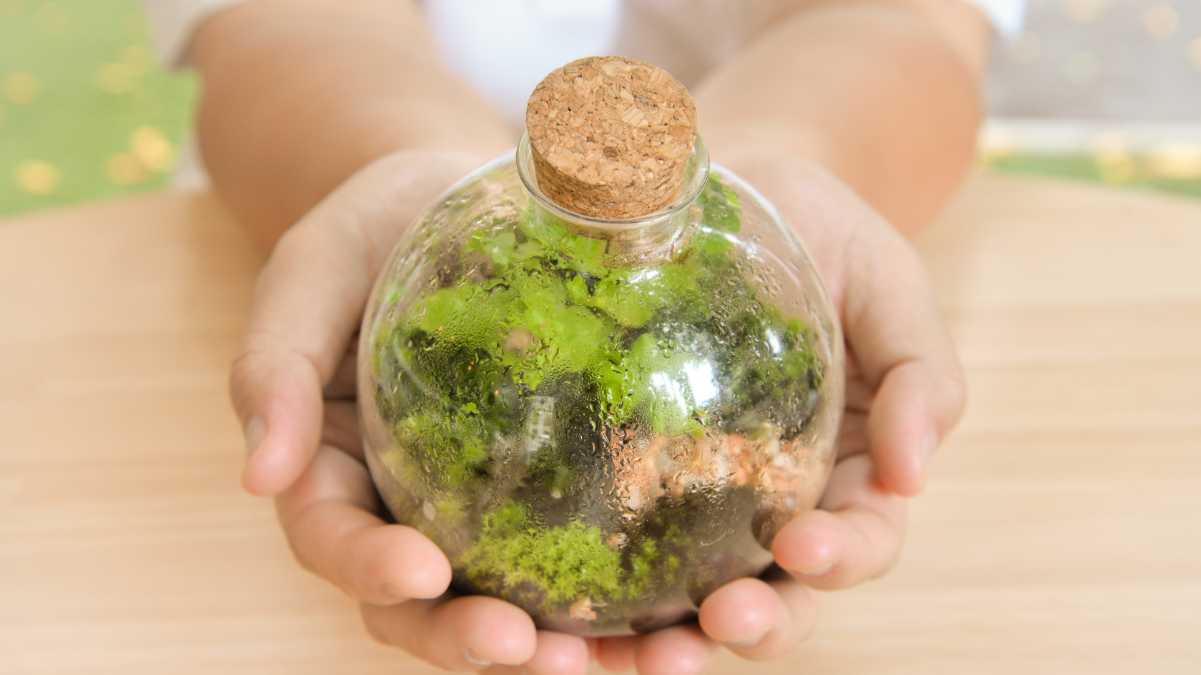 Closed Terrariums