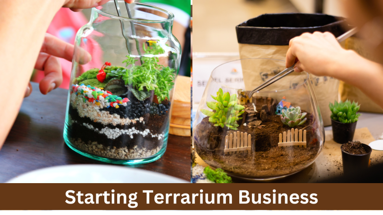 Starting  Terrarium Business_ How to Turn Your Hobby into a Profitable Venture