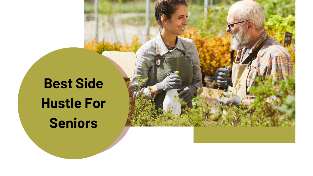 Best Side Hustle for Seniors