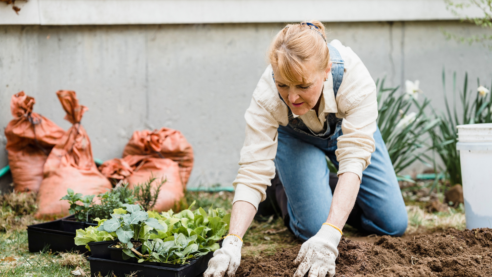 Gardening